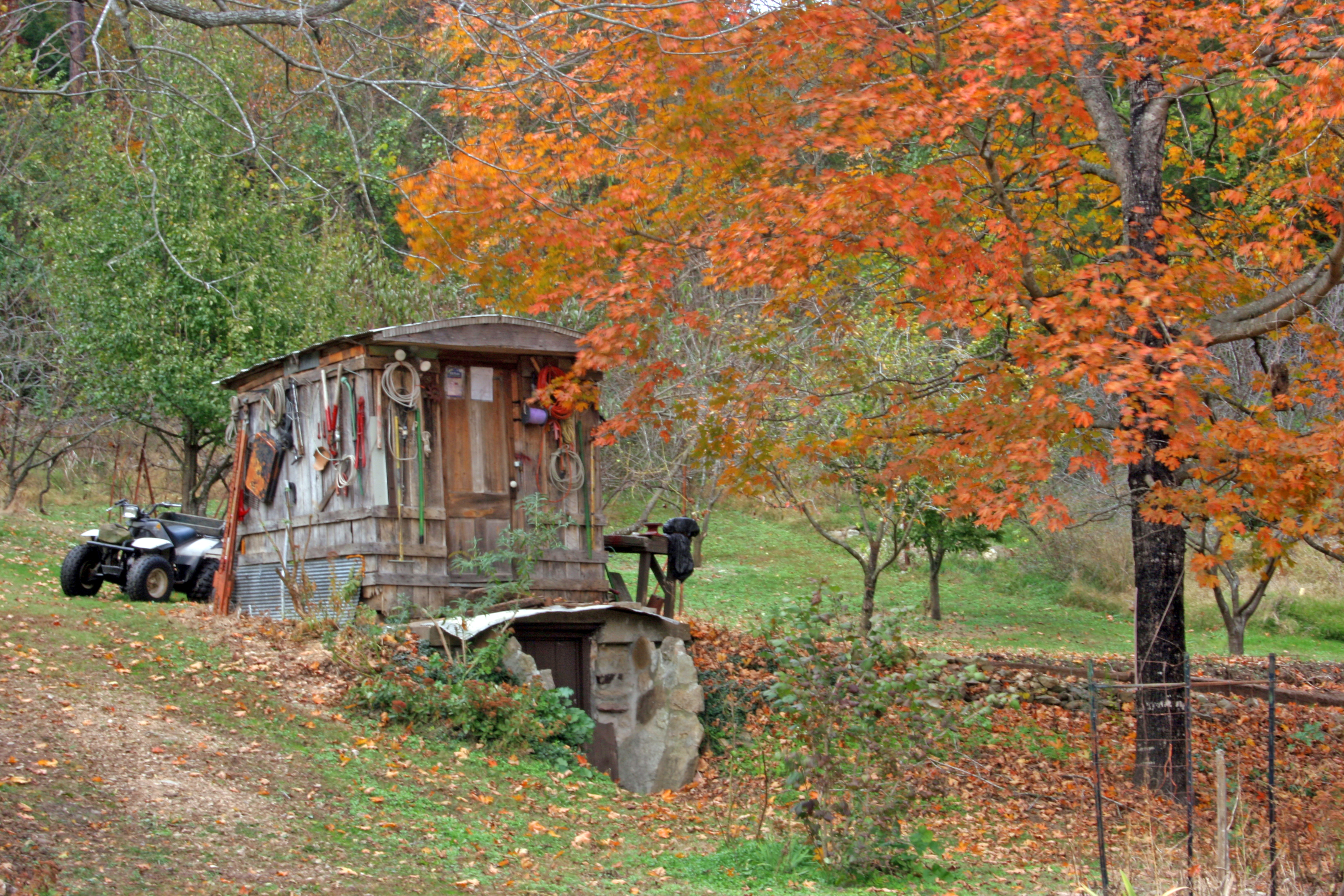 Photo of fall trees and cabin by photographer Dennis Russell.
