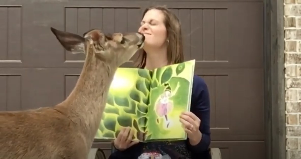 Bucky the deer giving Mrs. Tiffany a kiss