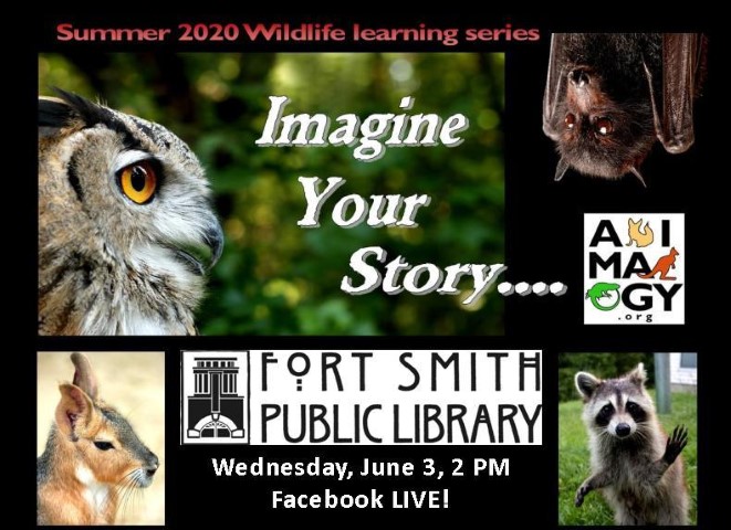 Imagine Your Story poster for Animalogy program