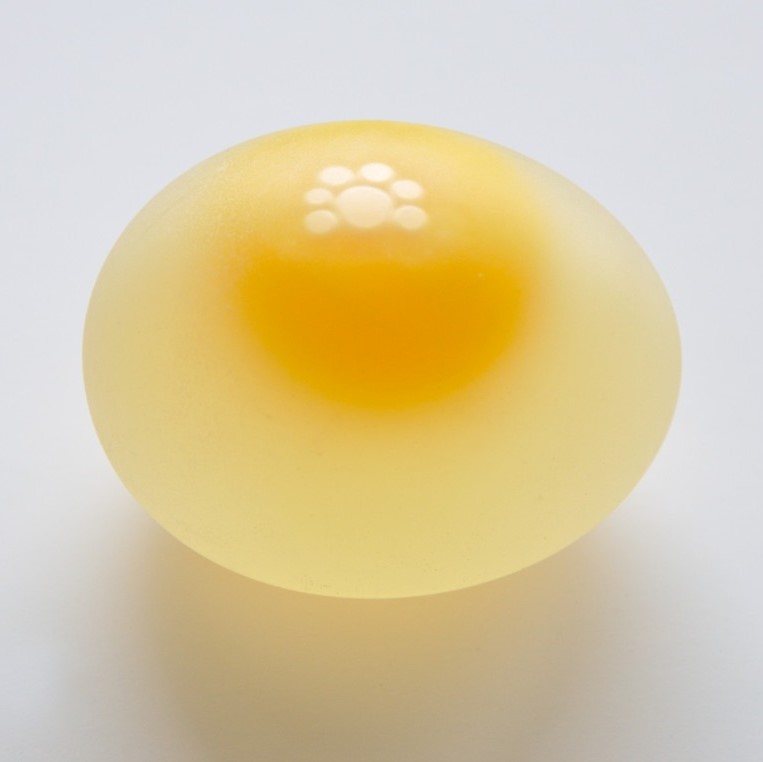 naked egg experiment with vinegar