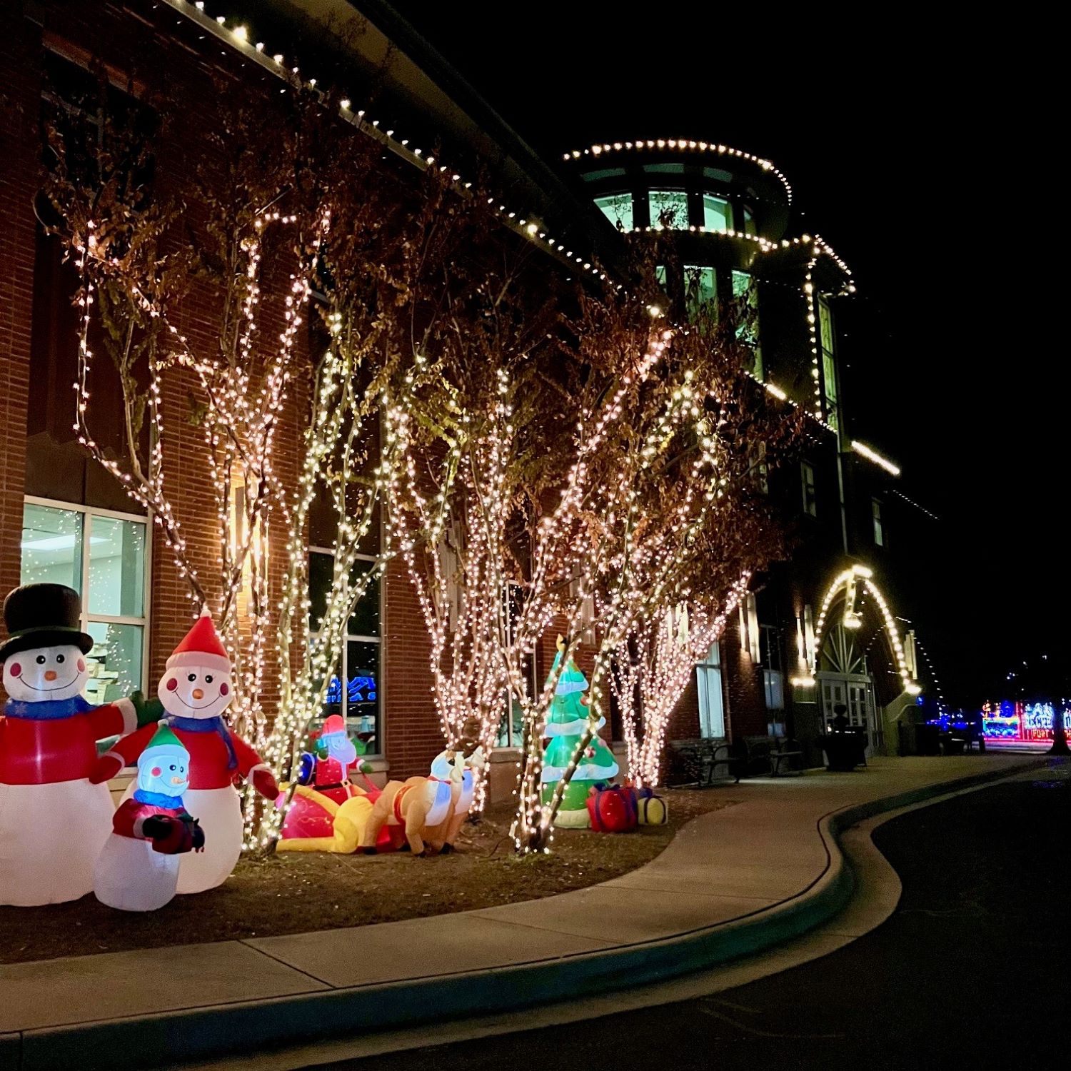 Main Library outside Christmas lights