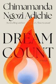 Cover image for Dream Count