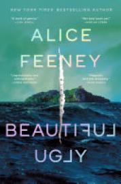 Cover image for Beautiful Ugly