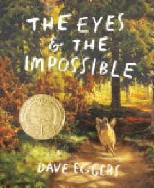 Cover image for The Eyes and the Impossible