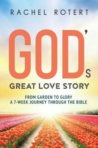 God's Great Love Story book jacket