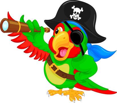 parrot with pirate hat and eyepatch