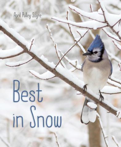 Best in Snow Best in Snow