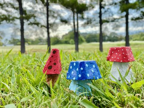 Egg Carton Mushrooms