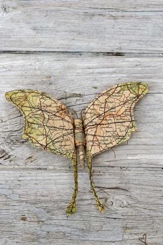 Map Paper Moth against a wooden background. 