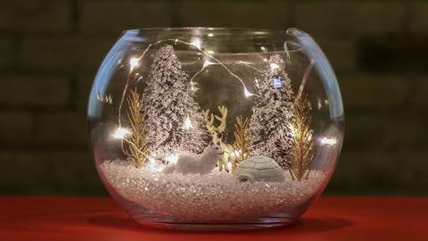 Winter Terrarium 