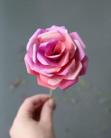 Hand holding a rose and red colored paper rose against a grey background. 