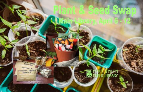 pots of started seedlings and bottles and packets of seeds in front of a window