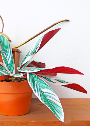 Faux paper plant in multicolors in a orange pot on a table against a white background 