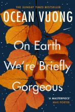 On Earth, We're Briefly Gorgeous Cover